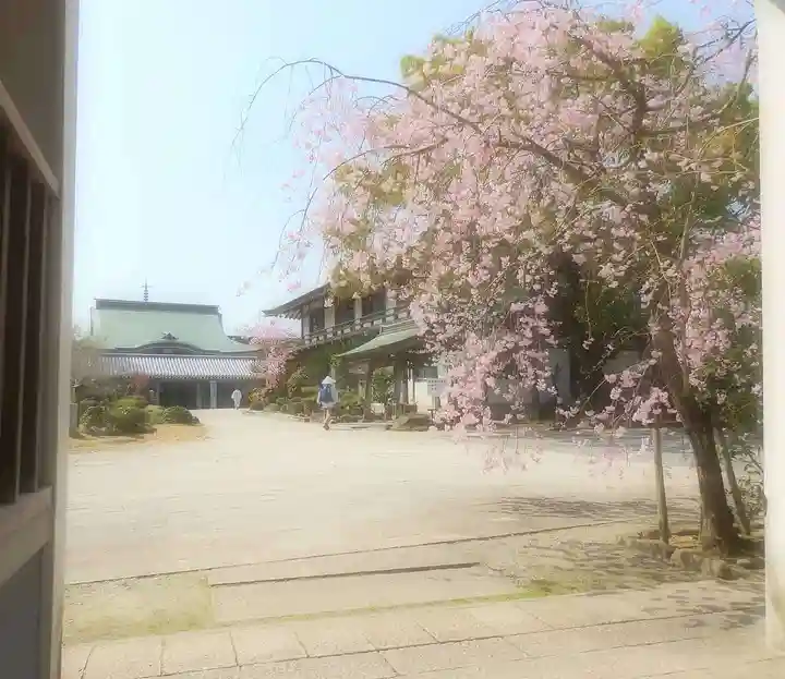 温泉山 安楽寺(四国霊場第六番札所)の自然