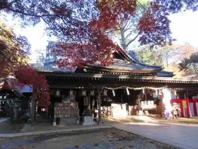 大宝八幡宮の本殿・本堂