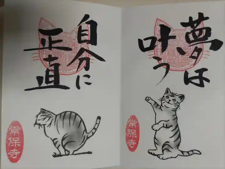 猫一言御朱印まとめプレオーダーがあり拝受。夢は叶う。自分に正直。