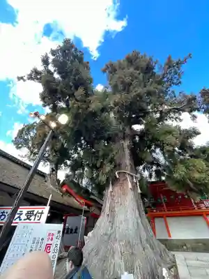 春日大社(奈良県)