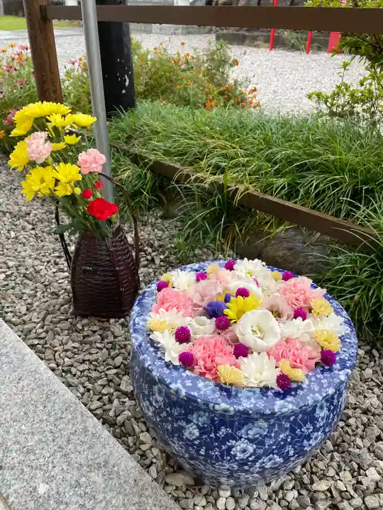 埼玉厄除け開運大師・龍泉寺(切り絵御朱印発祥の寺)(埼玉県)