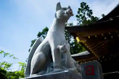 多田朝日森稲荷神社の狛犬