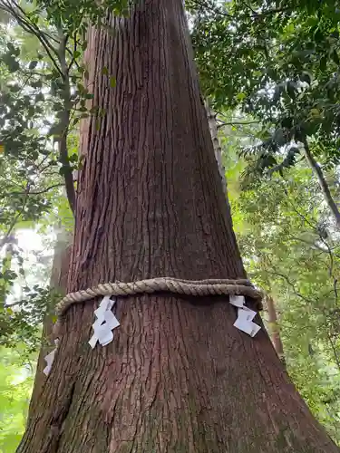 丹生川上神社（中社）(奈良県)