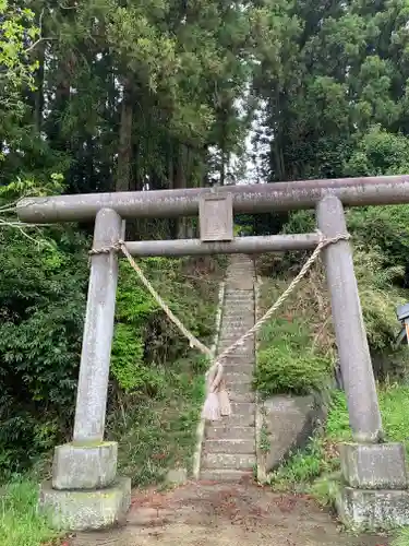 東泉箒根神社の鳥居