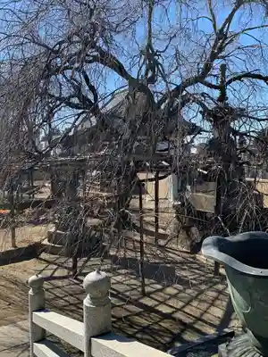 五宝寺(群馬県)