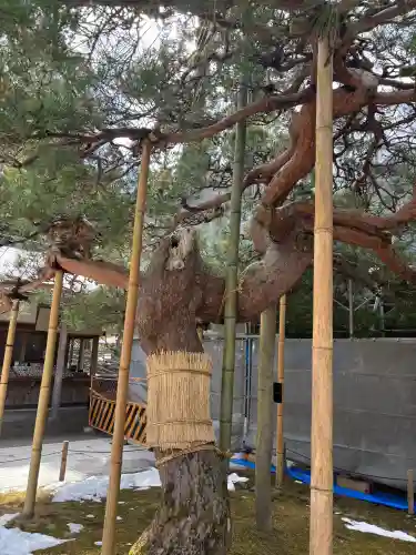 中尊寺の{uncategorized: "未分類", other: "その他", undefined: "問題あり", building: "その他建物", grave: "お墓", sacred_gate: "鳥居", guardian: "狛犬", statue: "像", buddha: "仏像", history: "歴史", nature: "自然", garden: "庭園", animal: "動物", pagoda: "塔", temizu: "手水舎", mountain_gate: "山門・神門", sanctuary: "本殿・本堂", subordinate: "末社・摂社", art: "芸術", scenery: "景色", jizo: "地蔵", ema: "絵馬", goshuin: "御朱印", omikuji: "おみくじ", items: "授与品その他", amulet: "お守り", goshuincho: "御朱印帳", eats: "食事", festival: "お祭り", votive_dance: "神楽", shichigosan: "七五三参", wedding: "結婚式", experience: "体験その他", initially: "初詣", around: "周辺", anti_infection: "感染症対策"}