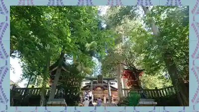 三峯神社(埼玉県)