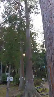 小野神社のその他建物