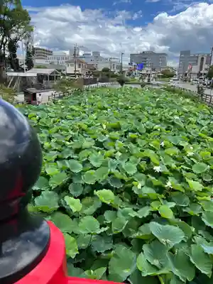 青井阿蘇神社(熊本県)