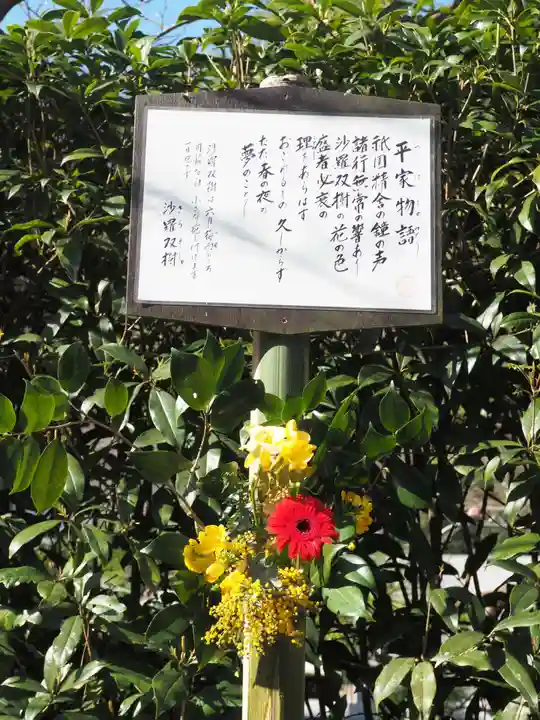 明月院(神奈川県)