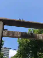 大垣大神宮(岐阜県)