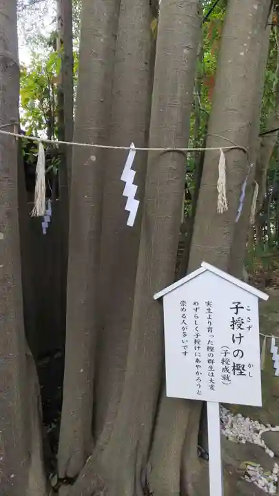 検見川神社の歴史
