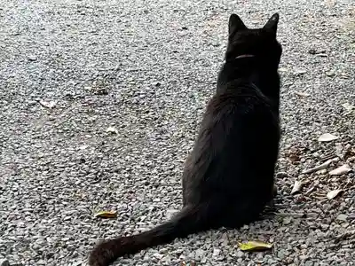 梅宮大社(京都府)