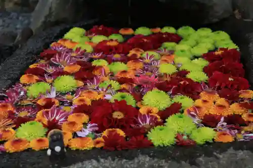 大鏑神社の手水