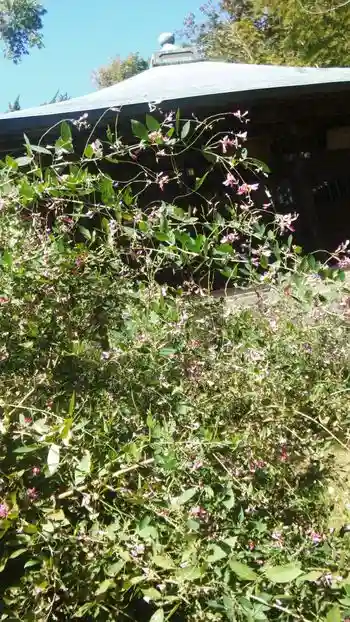 浄光明寺の自然