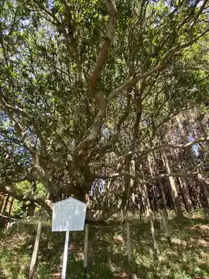 美和神社(岡山県)