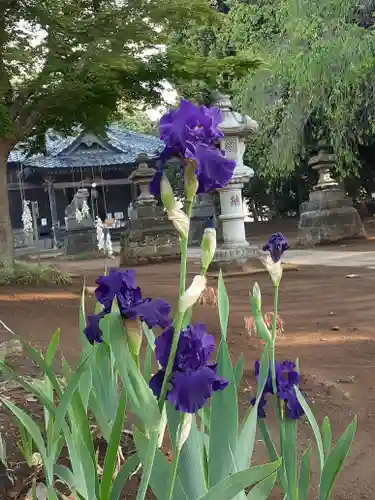 伏木香取神社の自然