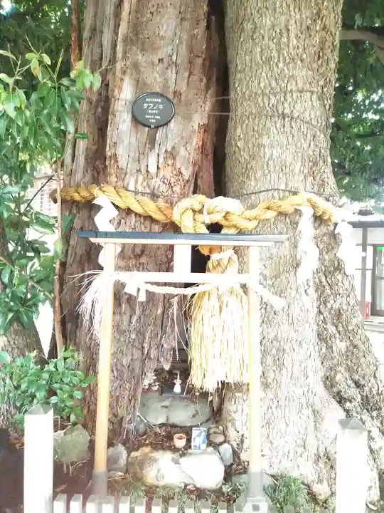 嶺白山神社の自然