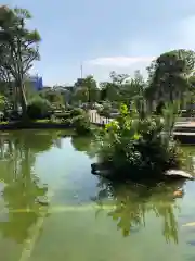 川崎大師（平間寺）の庭園