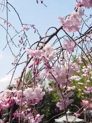 妙福寺(神奈川県)