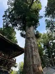 日光東照宮(栃木県)