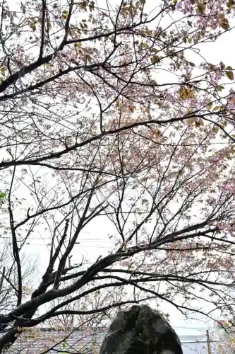 白山媛神社(新潟県)