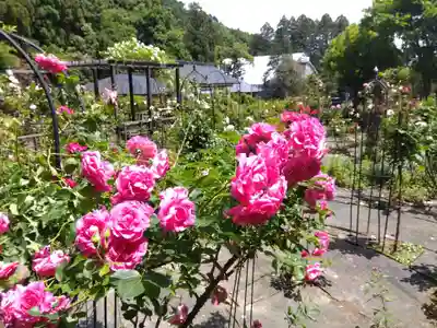 大安禅寺(福井県)