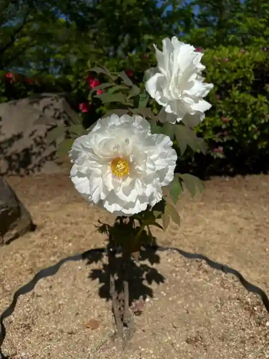 刑部神社の庭園