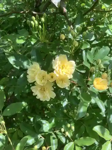 三輪神社の自然