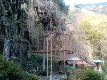 朝日之祖師堂の本殿・本堂