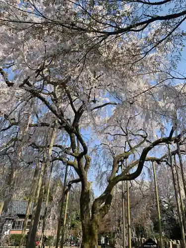 足羽神社(福井県)