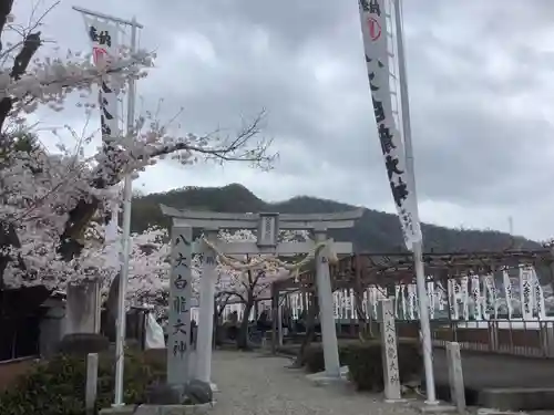 八大白龍大神の鳥居