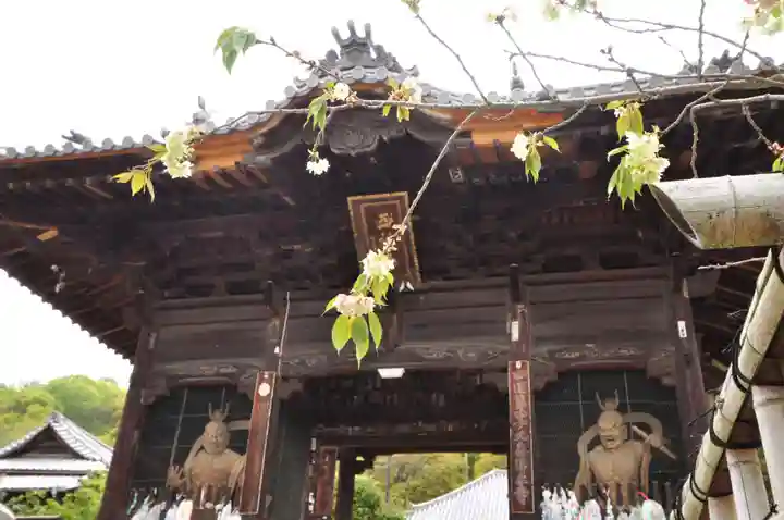 浄土寺の山門・神門
