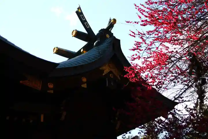 東沼神社(埼玉県)