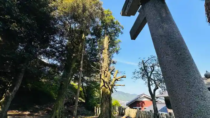 勝手神社(福井県)