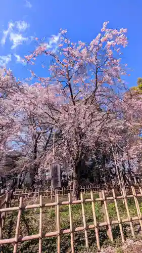 弘法寺の庭園