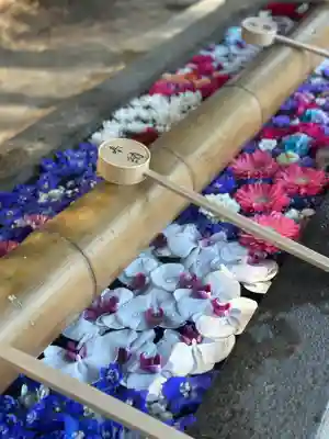 群馬県護国神社(群馬県)