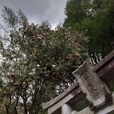 亀峰山平成院のその他建物