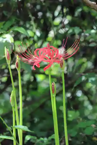 国宝 大法寺(長野県)