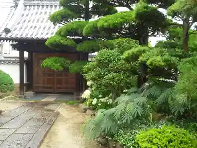 道證寺の山門・神門