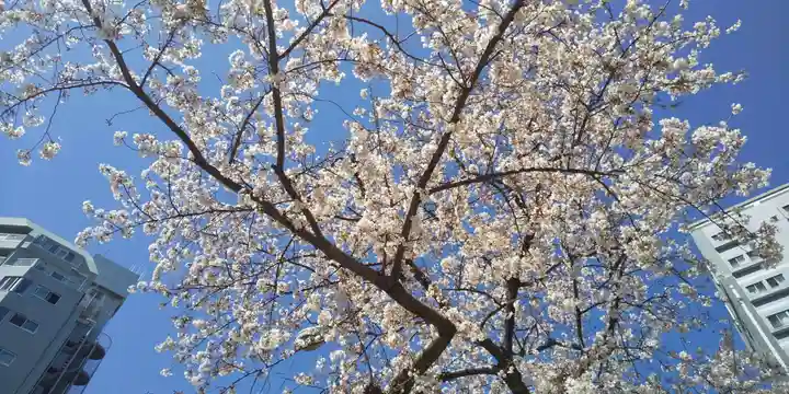 吉原弁財天本宮(吉原神社奥宮)の自然