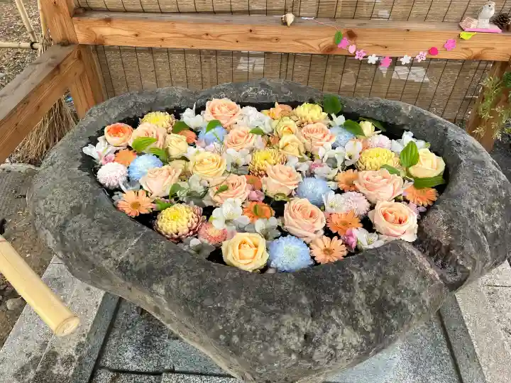 発寒神社の{uncategorized: "未分類", other: "その他", undefined: "問題あり", building: "その他建物", grave: "お墓", sacred_gate: "鳥居", guardian: "狛犬", statue: "像", buddha: "仏像", history: "歴史", nature: "自然", garden: "庭園", animal: "動物", pagoda: "塔", temizu: "手水舎", mountain_gate: "山門・神門", sanctuary: "本殿・本堂", subordinate: "末社・摂社", art: "芸術", scenery: "景色", jizo: "地蔵", ema: "絵馬", goshuin: "御朱印", omikuji: "おみくじ", items: "授与品その他", amulet: "お守り", goshuincho: "御朱印帳", eats: "食事", festival: "お祭り", votive_dance: "神楽", shichigosan: "七五三参", wedding: "結婚式", experience: "体験その他", initially: "初詣", around: "周辺", anti_infection: "感染症対策"}