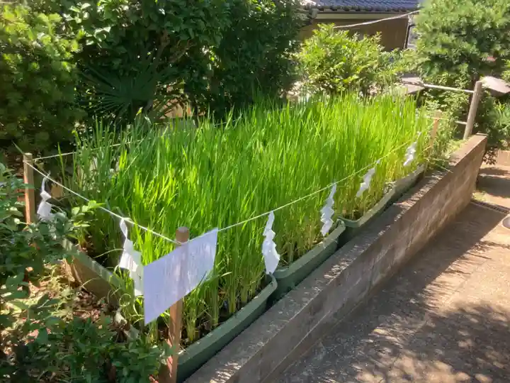 横浜御嶽神社(神奈川県)