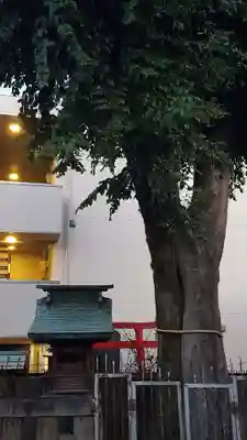 天王坊稲荷神社の末社・摂社