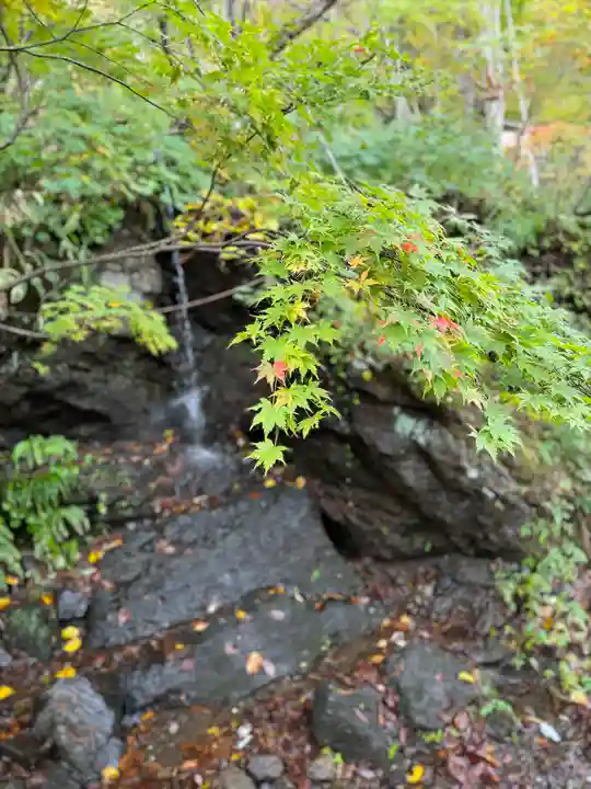 戸隠神社奥社(長野県)