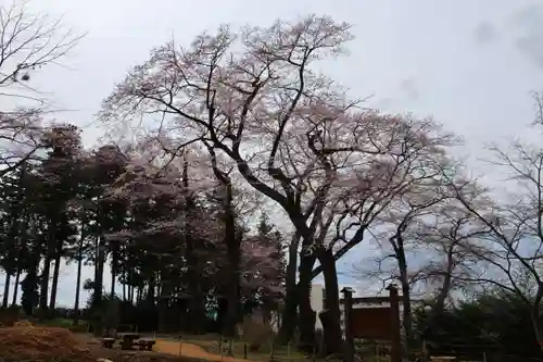 神炊館神社 ⁂奥州須賀川総鎮守⁂の庭園