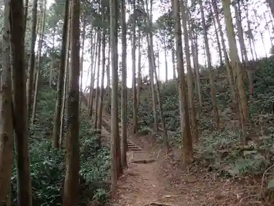 武蔵二宮 金鑚神社の周辺