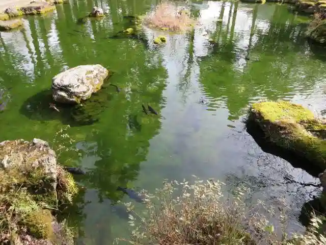 大虫神社(福井県)