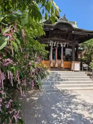 桜神宮(東京都)