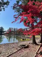 毛越寺の庭園